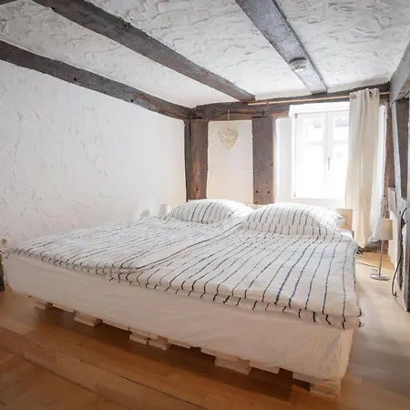 Wohnen In Malerischer Altstadt سيغن