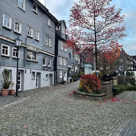 Wohnen In Malerischer Altstadt * سيغن